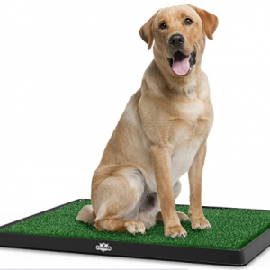 Artificial Grass Puppy Pad - Portable Training Pad System for Dogs and Pets, Housebreaking Supplies