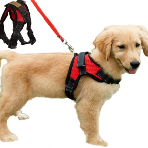 No-Pull Padded Adjustable Puppy Dog Training Walking Soft Harness Vest (M, Red)