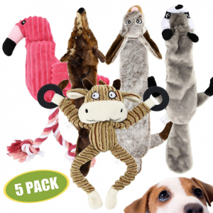 Buddy Wild Plush Dog Toys - Squeaky, cuddly soft chew bundle - 5 pack set - durable, interactive toys for puppy and small dogs - variety with 3 no stuffing animals